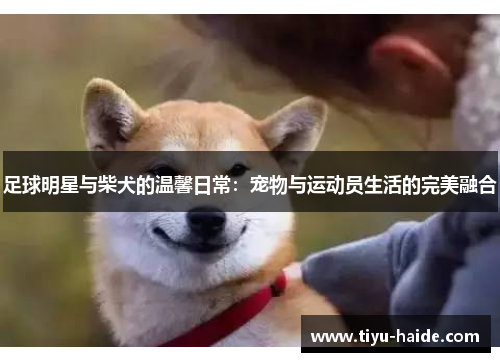 足球明星与柴犬的温馨日常：宠物与运动员生活的完美融合